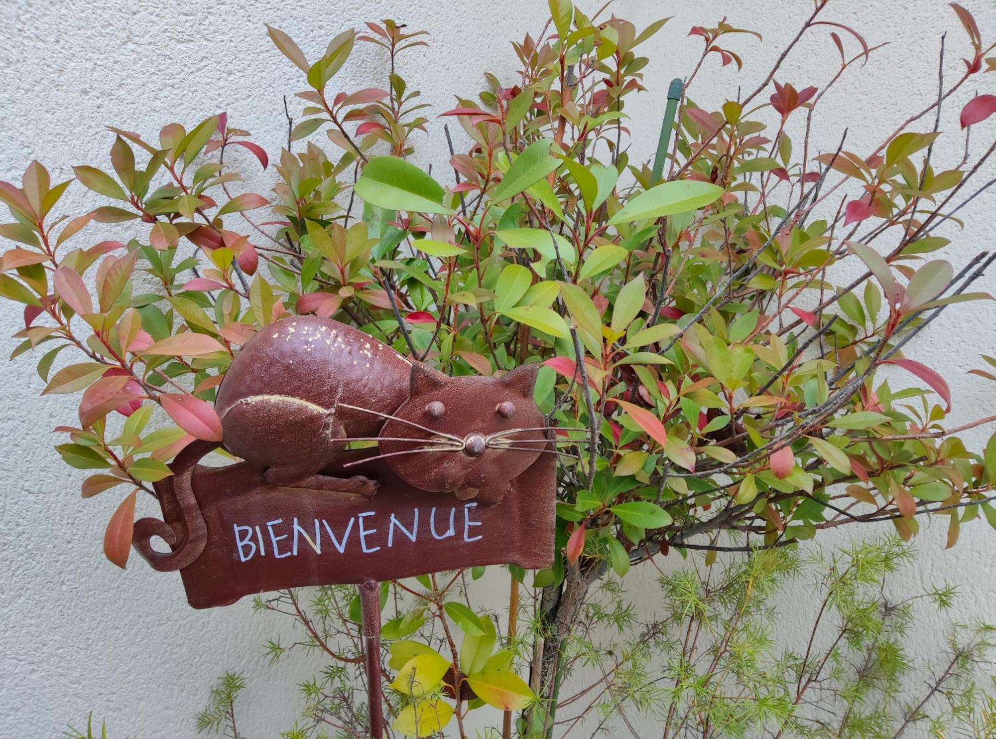 Du Cote De Chez Paule, Chambre Avec Entree Independante Et Salle D'Eau Privative Séméac Exteriér fotografie